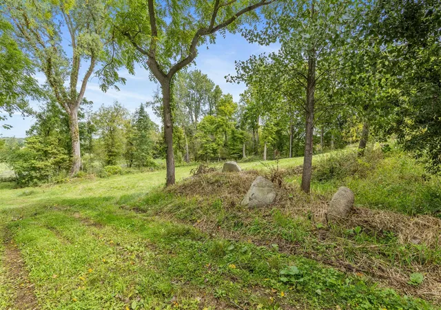 Photo 3 of Land for sale at Parcel A Burgess St, Lyons, MI 48851 | MLS# 70558235 | Listing updated on 2026-09-12