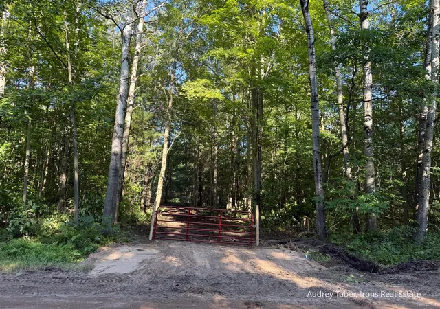 Land for sale at Par 2 Clements Rd, Kaleva, MI 49645-49619 | MLS# 70557971
