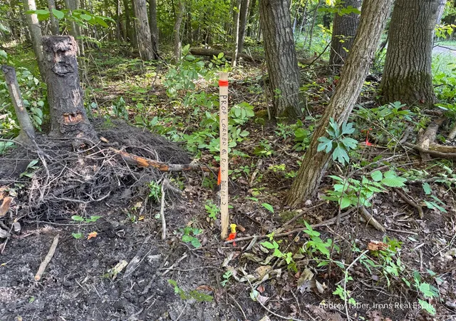 Photo 2 of Land for sale at Par 2 Clements Rd, Kaleva, MI 49645 | MLS# 70557971 | Listing updated on 2026-09-11