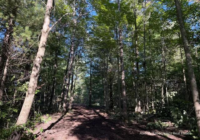 Photo 3 of Land for sale at Par 2 Clements Rd, Kaleva, MI 49645 | MLS# 70557971 | Listing updated on 2026-09-11