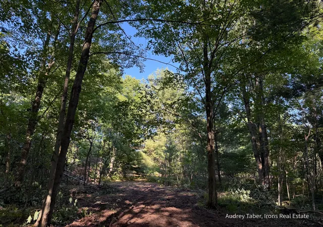 Photo 4 of Land for sale at Par 2 Clements Rd, Kaleva, MI 49645 | MLS# 70557971 | Listing updated on 2026-09-11