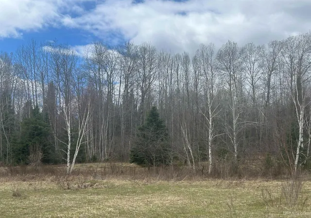 Photo 1 of Land for sale at Tbd 10 2 Ml Pond Rd, Trout Creek, MI 49967 | MLS# 50220872 | Listing updated on 2026-09-08