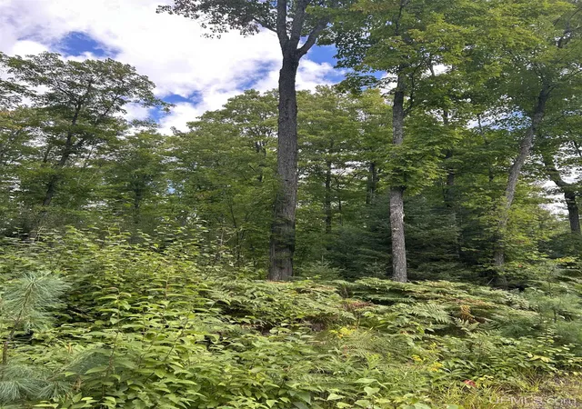 Photo 2 of Land for sale at Tbd 10 2 Ml Pond Rd, Trout Creek, MI 49967 | MLS# 50220872 | Listing updated on 2026-09-08