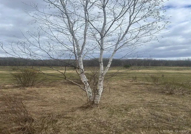 Photo 3 of Land for sale at Tbd 10 2 Ml Pond Rd, Trout Creek, MI 49967 | MLS# 50220872 | Listing updated on 2026-09-08