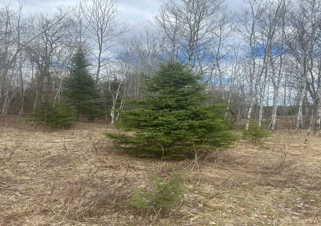 Photo 3 of Land for sale at Tbd 10-2 Ml Pond Rd, Trout Creek, MI 49967 | MLS# 50220872 | Listing updated on 2026-09-08