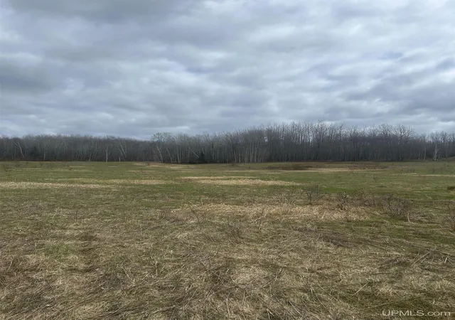 Photo 4 of Land for sale at Tbd 10-2 Ml Pond Rd, Trout Creek, MI 49967 | MLS# 50220872 | Listing updated on 2026-09-08