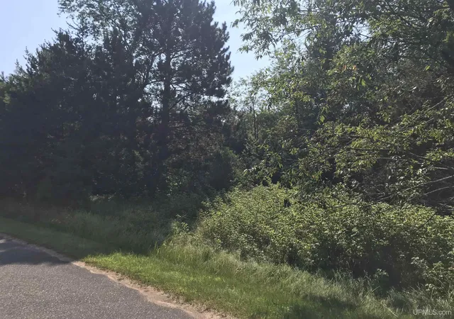 Photo 1 of Land for sale at Tbd Meadowbrook Hills Dr, Florence, WI 54121 | MLS# 50220726 | Listing updated on 2026-09-03