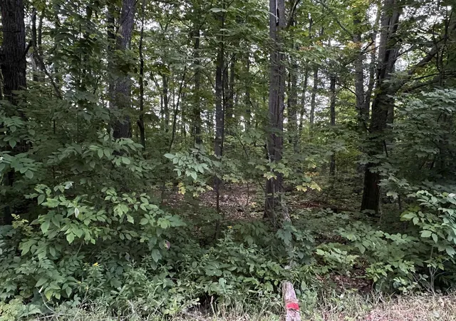 Photo 2 of Sale Pending at On Thunderbird Ln, Wakefield, MI 49968 | MLS# 50220543 | Listing updated on 2026-09-18
