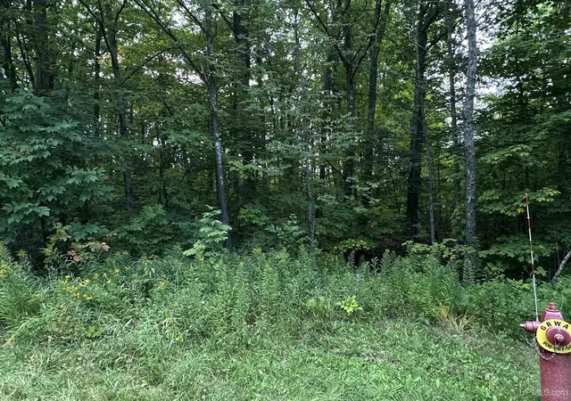 Photo 3 of Sale Pending at On Thunderbird Ln, Wakefield, MI 49968 | MLS# 50220543 | Listing updated on 2026-09-18