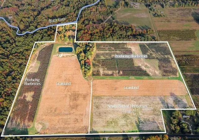 Photo 3 of Land for sale at 17555 67th Street, South Haven, MI 49090 | MLS# 70556510 | Listing updated on 2026-09-10