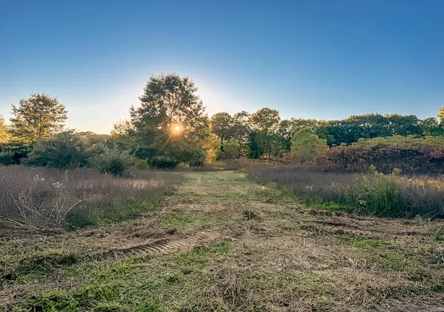 Land for sale at 3324 Pine Glen Dr, Saugatuck, MI 49453 | MLS# 70562896