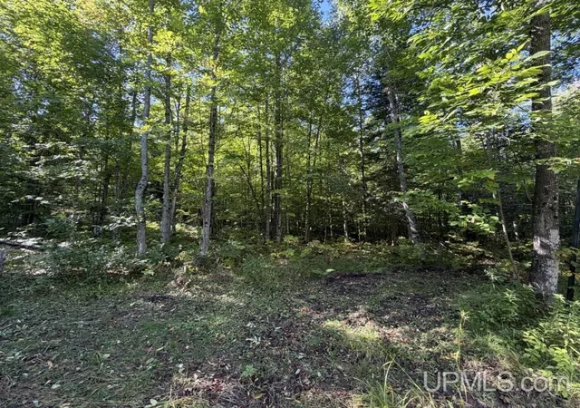 Photo 2 of Sale Pending at Vl 40 Skanee Rd, Skanee, MI 49962 | MLS# 50221987 | Listing updated on 2026-09-28