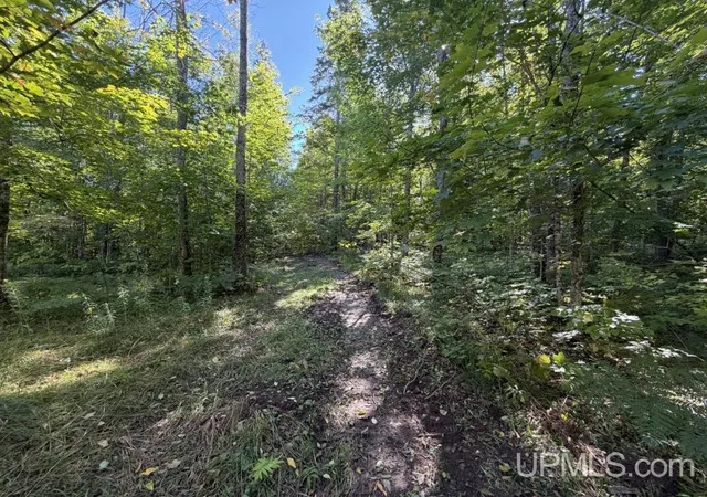 Photo 3 of Sale Pending at Vl 40 Skanee Rd, Skanee, MI 49962 | MLS# 50221987 | Listing updated on 2026-09-28