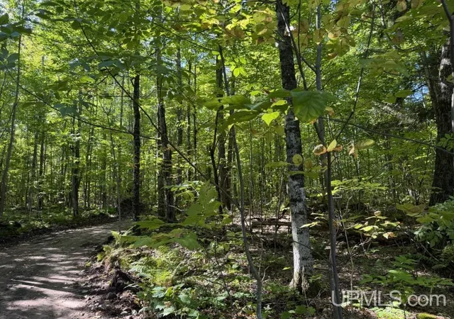 Photo 3 of Sale Pending at Vl-40 Skanee Rd, Skanee, MI 49962 | MLS# 50221987 | Listing updated on 2026-09-28