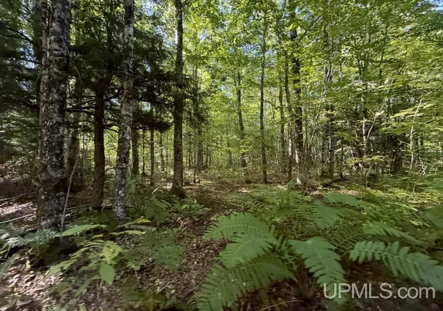 Photo 4 of Sale Pending at Vl-40 Skanee Rd, Skanee, MI 49962 | MLS# 50221987 | Listing updated on 2026-09-28