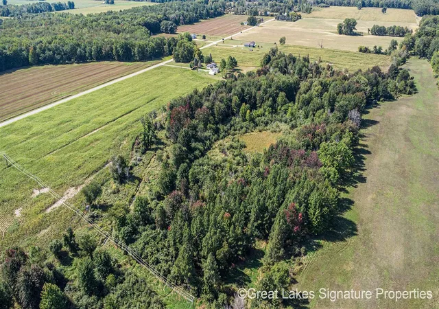 Photo 2 of Land for sale at Parcel W Stanton Rd, Pierson, MI 49339 | MLS# 70561003 | Listing updated on 2026-10-05