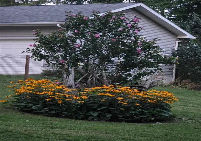 Photo 3 of Single family home for sale at 6670 Tower Lake Rd, Belding, MI 48809 | MLS# 70537342 | Listing updated on 2026-09-08