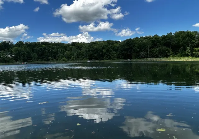 Photo 4 of Single family home for sale at 6670 Tower Lake Rd, Belding, MI 48809 | MLS# 70537342 | Listing updated on 2026-09-08