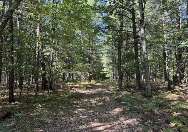 Photo 3 of Sale Pending at 9372 W 7 Mile Rd, Irons, MI 49644 | MLS# 70556748 | Listing updated on 2026-09-09