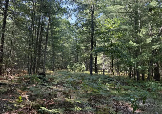 Photo 3 of Sale Pending at 9372 W 7 Mile Rd, Irons, MI 49644 | MLS# 70556748 | Listing updated on 2026-09-09