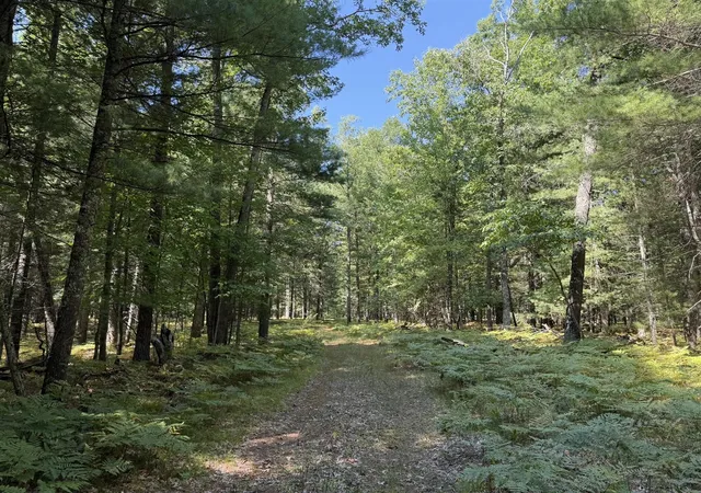Photo 4 of Sale Pending at 9372 W 7 Mile Rd, Irons, MI 49644 | MLS# 70556748 | Listing updated on 2026-09-09