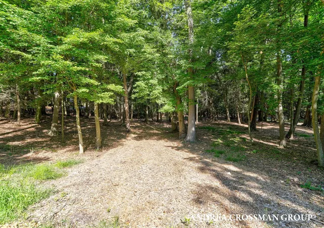 Photo 3 of Land for sale at 110 Park St, Saugatuck, MI 49453 | MLS# 70519736 | Listing updated on 2026-09-08