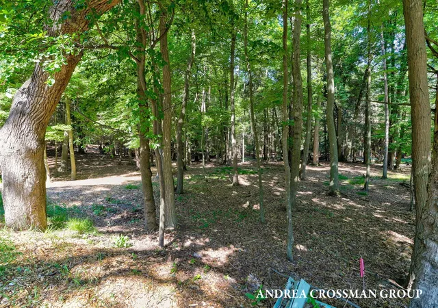 Photo 4 of Land for sale at 110 Park St, Saugatuck, MI 49453 | MLS# 70519736 | Listing updated on 2026-09-08