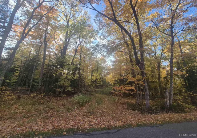Photo 1 of Land for sale at 40 Acres Dukes Rd, Skandia, MI 49885 | MLS# 50204665 | Listing updated on 2026-10-12