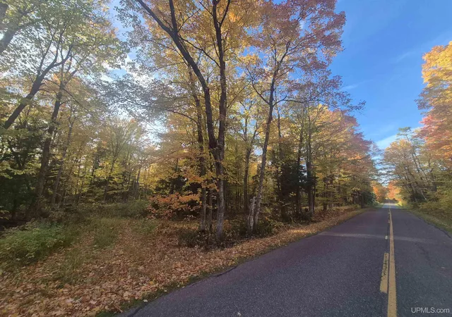 Photo 2 of Land for sale at 40 Acres Dukes Rd, Skandia, MI 49885 | MLS# 50204665 | Listing updated on 2026-10-12