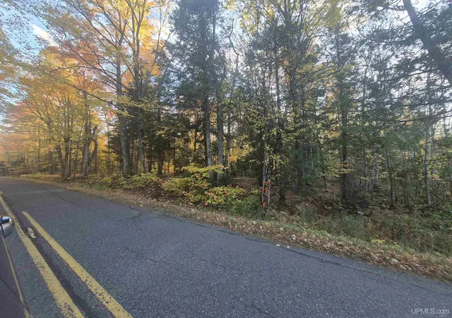 Photo 3 of Land for sale at 40 Acres Dukes Rd, Skandia, MI 49885 | MLS# 50204665 | Listing updated on 2026-10-12