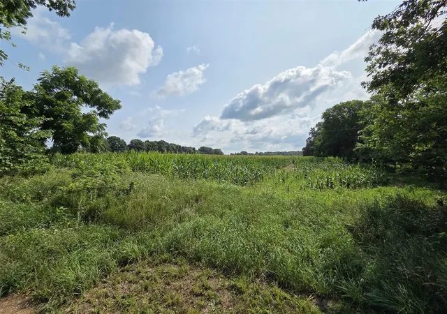 Photo 1 of Sale Pending at 13 Mile Rd (parcel 5), Burlington, MI 49029 | MLS# 70550801 | Listing updated on 2026-09-04