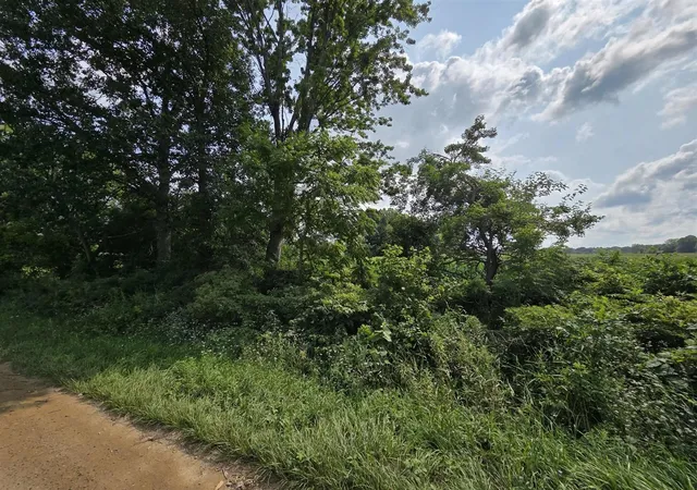Photo 2 of Sale Pending at 13 Mile Rd (parcel 5), Burlington, MI 49029 | MLS# 70550801 | Listing updated on 2026-09-04