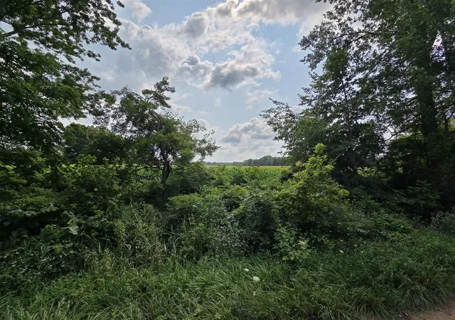 Photo 3 of Sale Pending at 13 Mile Rd (parcel 5), Burlington, MI 49029 | MLS# 70550801 | Listing updated on 2026-09-04