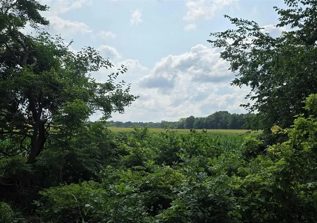 Photo 3 of Sale Pending at 13 Mile Rd (parcel 5), Burlington, MI 49029 | MLS# 70550801 | Listing updated on 2026-09-04
