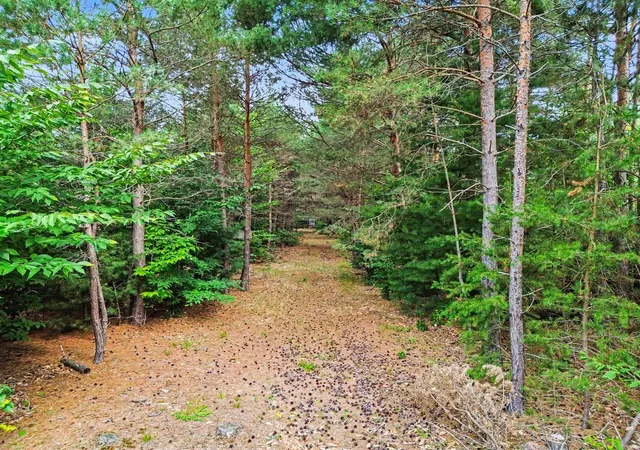 Photo 3 of Sale Pending at 8732 Aylsworth Rd, Benzonia, MI 49616 | MLS# 70551572 | Listing updated on 2026-09-10