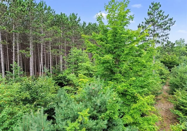 Photo 4 of Sale Pending at 8732 Aylsworth Rd, Benzonia, MI 49616 | MLS# 70551572 | Listing updated on 2026-09-10