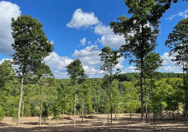 Photo 3 of Land for sale at 5155 Paradise Ranch, Kingsley, MI 49649 | MLS# 80073441 | Listing updated on 2026-09-14