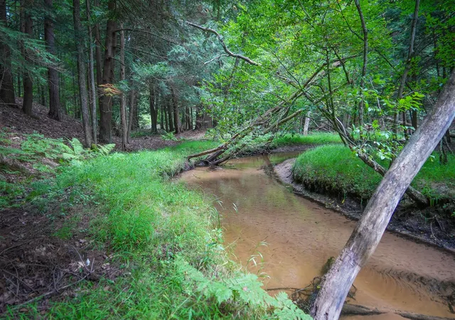 Photo 3 of Sale Pending at V/l S 142nd Avenue, Rothbury, MI 49452 | MLS# 70557307 | Listing updated on 2026-10-17