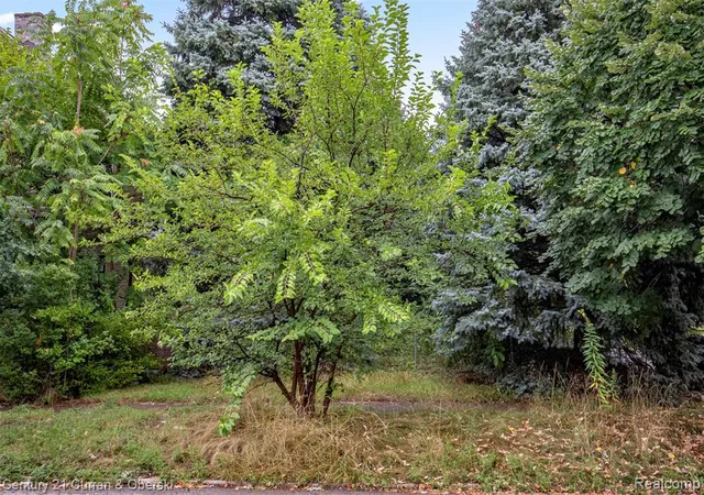 Land for sale at 411 King St, Detroit, MI 48202 | MLS# 61037512