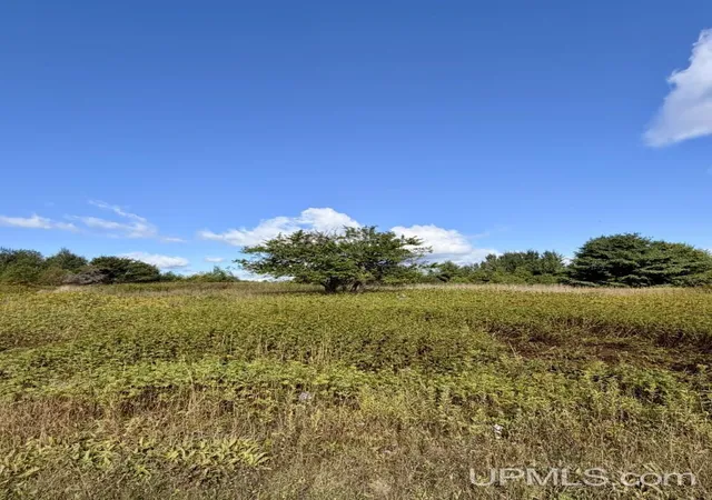 Photo 1 of Land for sale at Tbd Pine St, Ishpeming, MI 49849 | MLS# 50221394 | Listing updated on 2026-10-17