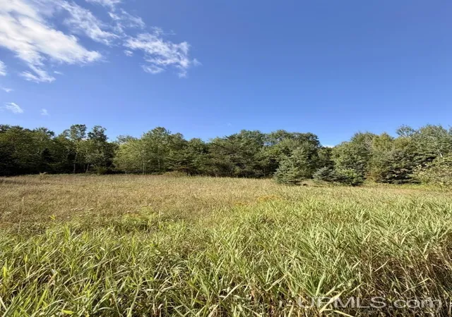 Photo 2 of Land for sale at Tbd Pine St, Ishpeming, MI 49849 | MLS# 50221394 | Listing updated on 2026-10-17