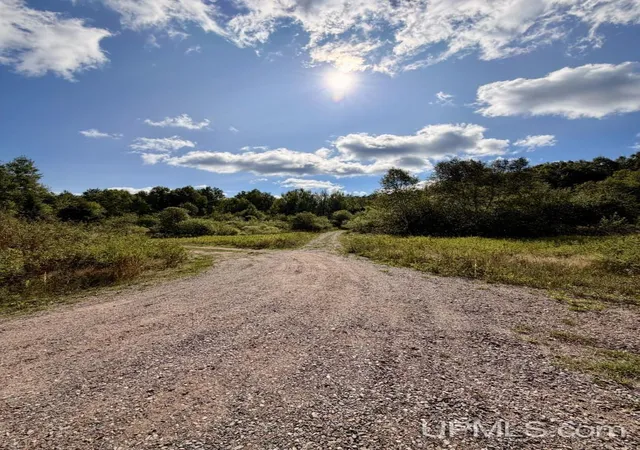 Photo 3 of Land for sale at Tbd Pine St, Ishpeming, MI 49849 | MLS# 50221394 | Listing updated on 2026-10-17