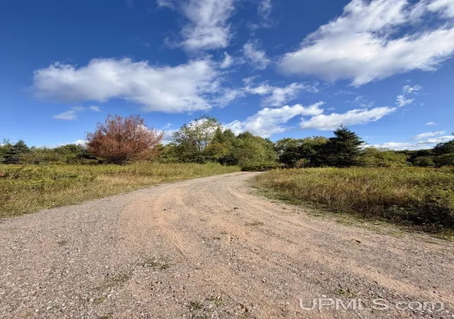 Photo 3 of Land for sale at Tbd Pine St, Ishpeming, MI 49849 | MLS# 50221394 | Listing updated on 2026-10-17