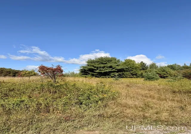 Photo 4 of Land for sale at Tbd Pine St, Ishpeming, MI 49849 | MLS# 50221394 | Listing updated on 2026-10-17