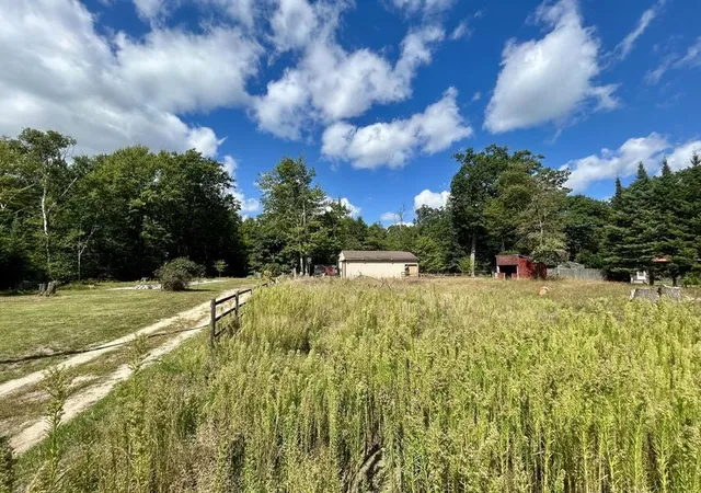 Photo 4 of Land for sale at 8836 Ora Lake Rd, Hale, MI 48739 | MLS# 80072985 | Listing updated on 2026-09-02