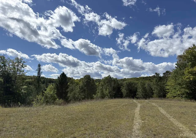 Photo 1 of Land for sale at 274 Co Rd 510, Negaunee, MI 49866 | MLS# 50221400 | Listing updated on 2026-09-16
