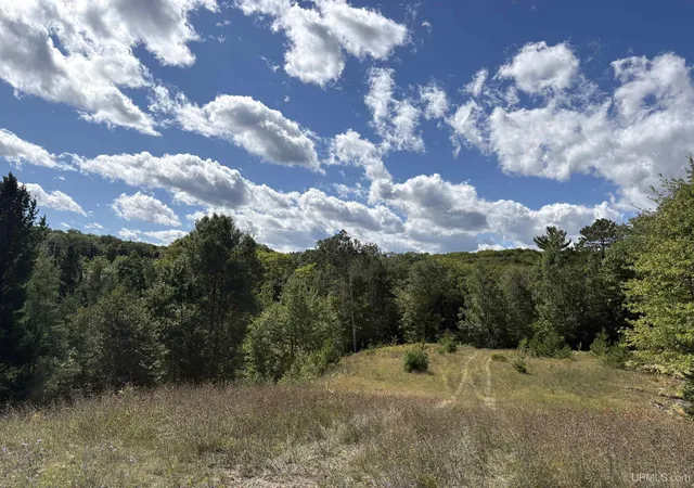 Photo 2 of Land for sale at 274 Co Rd 510, Negaunee, MI 49866 | MLS# 50221400 | Listing updated on 2026-09-16