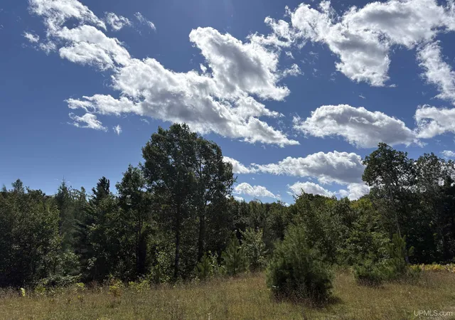 Photo 3 of Land for sale at 274 Co Rd 510, Negaunee, MI 49866 | MLS# 50221400 | Listing updated on 2026-09-16