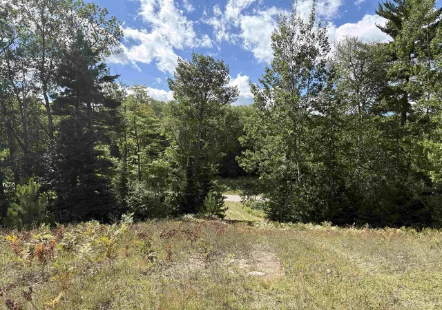 Photo 4 of Land for sale at 274 Co Rd 510, Negaunee, MI 49866 | MLS# 50221400 | Listing updated on 2026-09-16