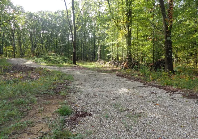 Photo 1 of Land for sale at Parcel A 109th Ave, Pullman, MI 49450 | MLS# 70562125 | Listing updated on 2026-10-08